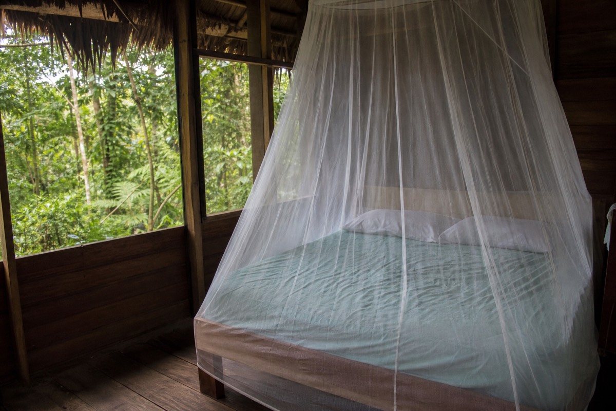 Interior of a bungalow on an Iquitos Amazon tour, with a mosquito-netted bed and screened wall open to the forest