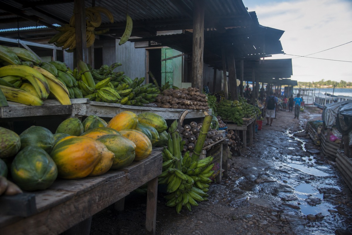 The riverside stalls of Belen Market, Iquitos Peru, a dense sprawl selling river fish and jungle fruit