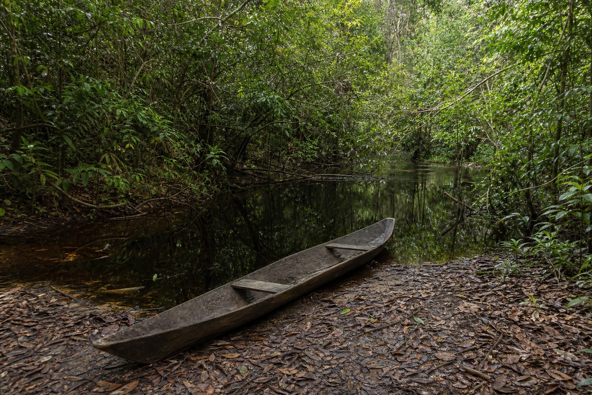A narrow blackwater channel winding through the Peruvian Amazon near Iquitos