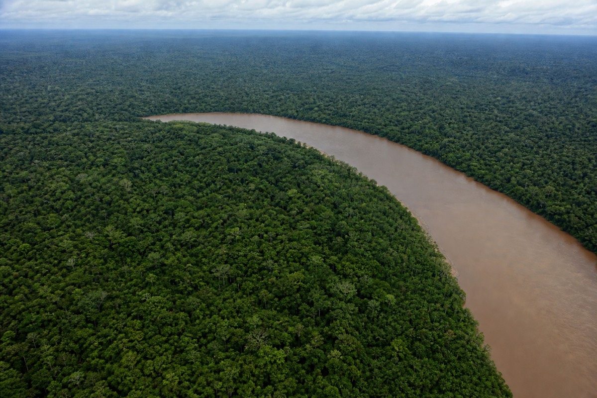 Aerial view of unbroken rainforest canopy with a river winding through it on Amazon rainforest tours