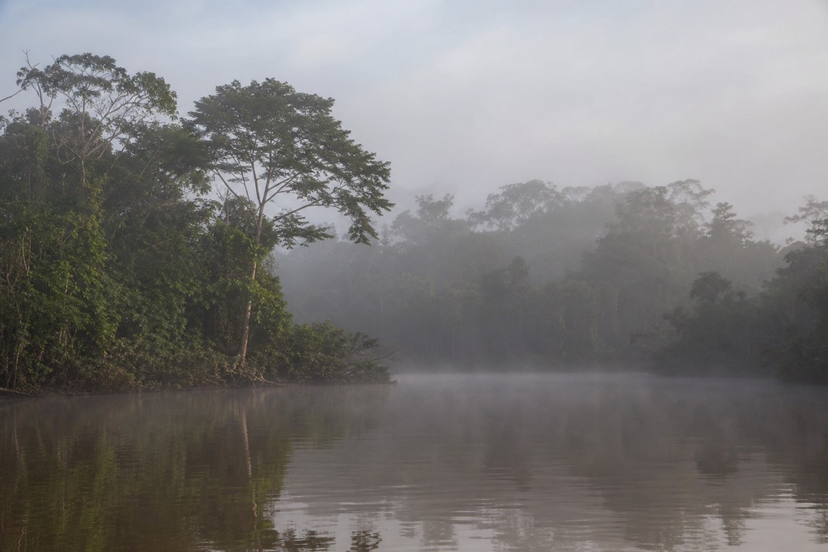 Mist over the river at dawn during Amazon piranha fishing in the Peruvian rainforest
