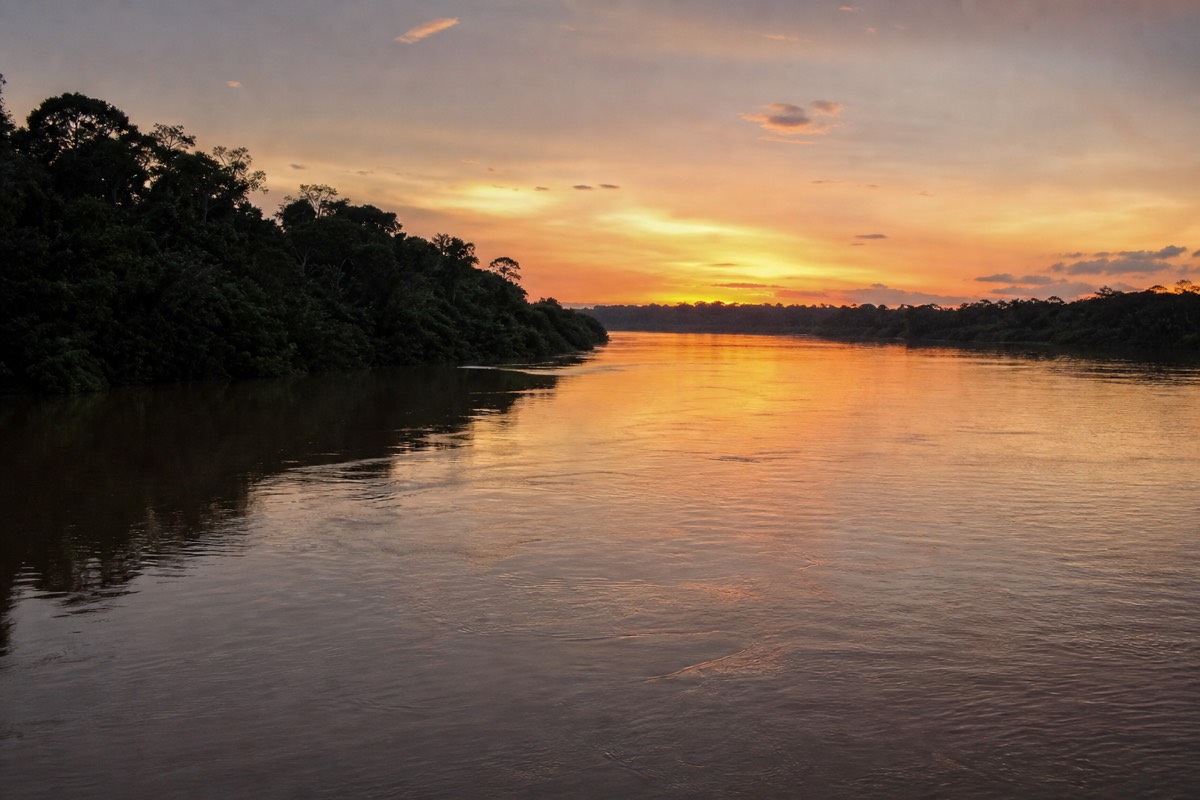 The Peruvian Amazon rainforest along a quiet river channel where visitors go piranha fishing near Iquitos
