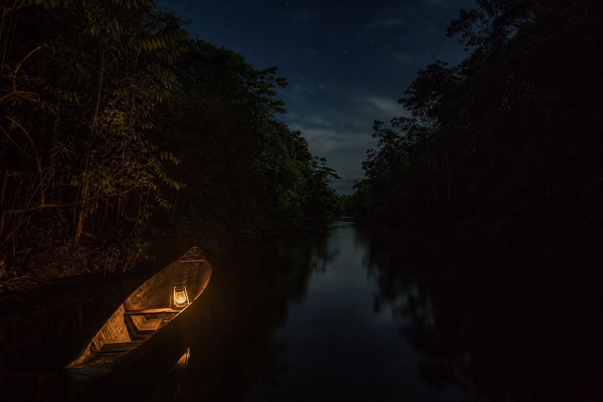 Caiman eyeshine caught in a spotlight beam on a night walk in the Amazon